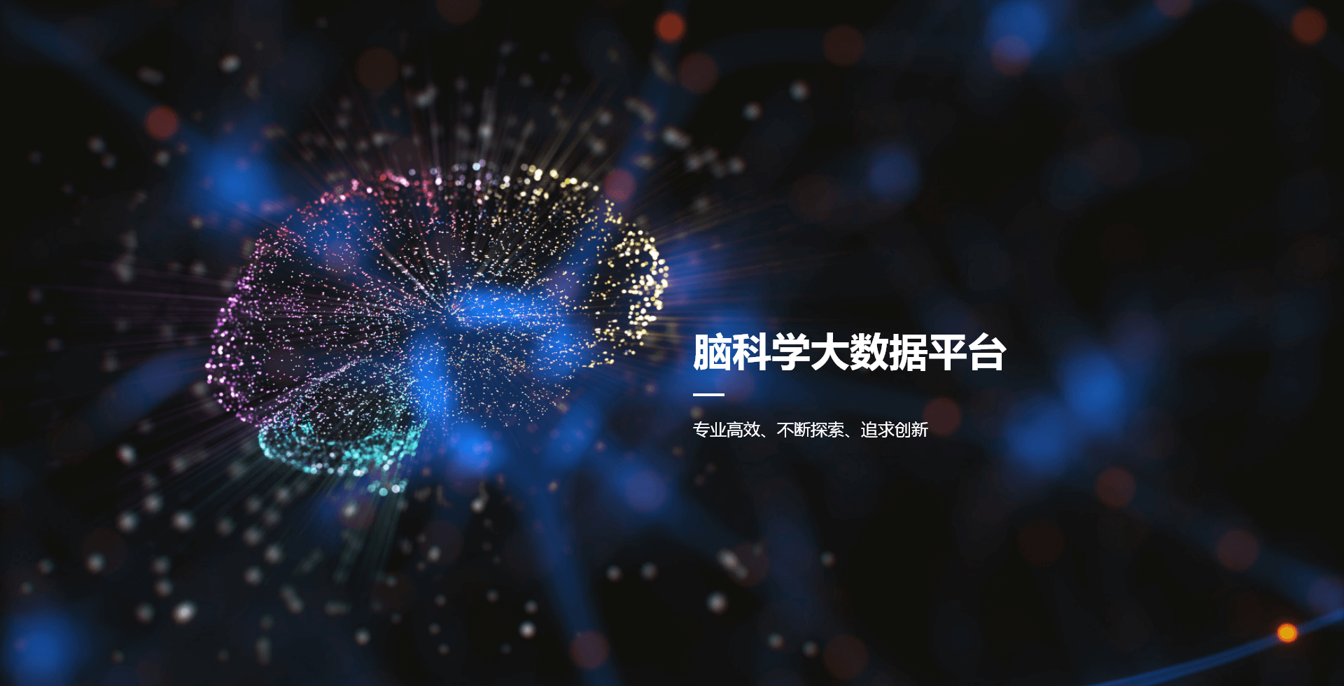 关于我们banner图